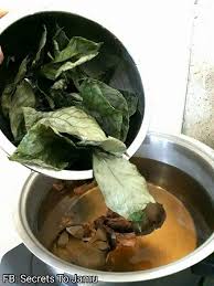 Strobilanthes crispa is a shrub which originated from madagascar, and is now found across south east asia. Minum Air Daun Pecah Kaca Untuk Sihat Ni Cara Sediakan Ikut Gaya Orang Cina Keluarga