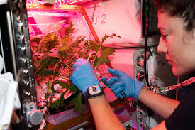 She was previously assistant professor of anesthesia. Astronaut Jessica Meir Returns Home To A Completely Different Planet Vanity Fair