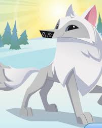 Wise bread is an ind. Arctic Wolf Animal Jam Classic Wiki Fandom