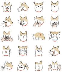 Shiba Inu Memes Dog Wallpaper Iphone Dog Emoji Cute Drawings
