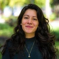 1200+ "Meraz" profiles