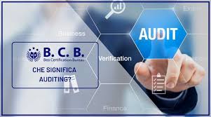 Read stories of how internal audit has measured up during the pandemic in the december issue — online now. Cos E Un Audit Il Processo Di Auditing La Definizione