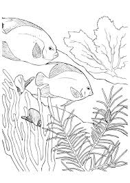 Version 1 has traceable reef animal names. Parentune Free Printable Barrier Reef Coloring Picture Assignment Sheets Pictures For Child