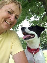 Hi all, I wanted to introduce us. Skye is my registered five year old  purebred (the white dog) and Jenny is my 12 year old rescue who was picked  up walking the