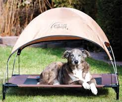 See more ideas about pet beds, diy stuffed animals, cat bed. 12 Best Outdoor Dog Beds Outdoor Dog World