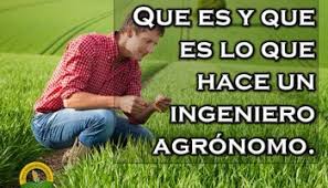 Más 20 veces más agricultores de farmville en usa que reales. Por Que Se Festeja El Dia Del Agronomo
