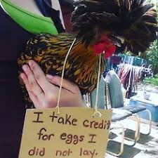 30 Chicken Shaming Ideas Chicken Humor Dog Shaming Animal Shaming 11 chicken shaming pics that perfectly characterize farm life. chicken humor dog shaming