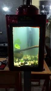 Aquarium ikan cupang unik dan gambarnya. Aquarium Unik Dibuat Dari Kaleng Kerupuk Ferboes Com
