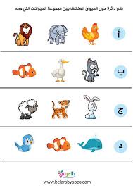 انشطة وحدة الحيوانات لرياض الاطفال اوراق عمل عن الحيوانات للاطفال بالعربي نتعلم in 2021 character art cards