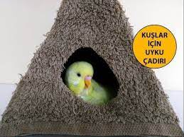 kuslar icin uyku cadiri yapimi youtube muhabbet kuslari kus kus oyuncaklari