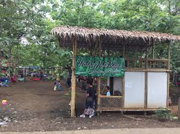 Hutan jati pasar kemis buka atau tutup. Tempat Wisata Hutan Jati Tangerang Area Wisata Asia
