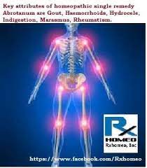 Pin On Rxhomeo Homeopathy