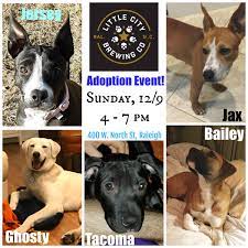 Visit petsmart's everyday dog or cat adoption centers or, at select locations, adopt a variety of small pets or reptiles. Dog Adoption Events Raleigh Nc