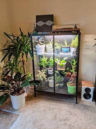 Rudsta Greenhouse Cabinet Ikeahacks In 2021 Indoor Greenhouse Ikea Plants House Plants Decor