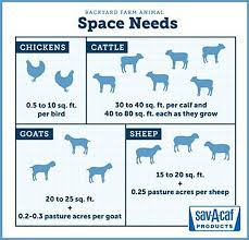 Goats can be raised in the cities and suburbs. Whether You Re Thinking Cattle Goats Sheep Or Chickens Add Animals To Your Backyard Thefencepost Com