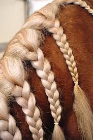 The running braid is a french braid that runs the full length of the horse's neck. Hair By Hair You Will Pull Out The Horse S Tail Novocom Top