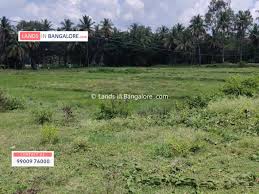 Maybe you would like to learn more about one of these? 1 Acre Agricultural Land For Sale In Somanahalli Kanakapura Road Prime Location Just 3km From Tar Road