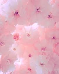 In this case, pay attention to patterned glass! Grunge Soft Pink Aesthetic Background Cuteanimals Aesthetic Backgrounds Pink Aesthetic Pastel Aesthetic