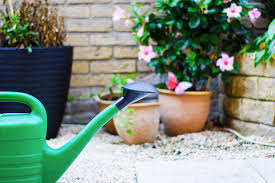 Wir wollen sie zu den themen gartengestaltung und landschaftsbau informieren. Wie Sie Ihre Pflanzen In Der Warmen Jahreszeit Richtig Giessen Assing Garten Landschaftsbau Gronau