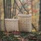White Oak - Tree to Basket event image