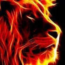 Avengers Preferences Their First Thoughts Lion Pictures Fire Lion Lion Art
