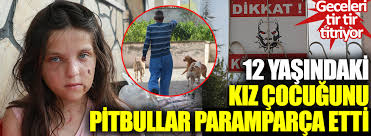 12 Yasindaki Kiz Cocugunu Pitbullar Paramparca Etti Geceleri Tir Tir Titriyor