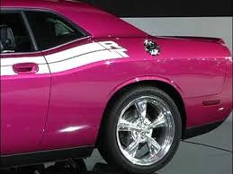 Image result for Furious Fuchsia 2010 Challenger