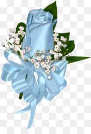 Maybe you would like to learn more about one of these? Baby Blue Flower Png And Baby Blue Flower Transparent Clipart Free Download Cleanpng Kisspng