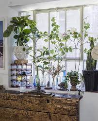 Inspiration Ideas In 2021 Window Sill Decor Plants On Window Sill Windowsill Garden
