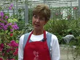 You have found the perfect business idea, and now you are ready to take the next step. Starting A Greenhouse Business Youtube