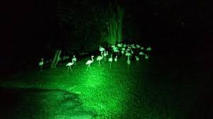 Oh ya, jika anda merancang untuk datang ke pantai remis di perak ini, pihak kami menyarankan anda untuk menyelidik tentang beberapa info penting seperti lokasi, apa kata pelancong terdahulu, sebarang bayaran terlibat. 8 Tempat Menarik Paling Best Di Perak Yang Mesti Dilawati Cari Homestay