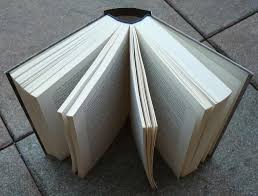 Book Review Vs Book Report What Is The Difference In 2020 Book Report Book Review Writing A Book Review