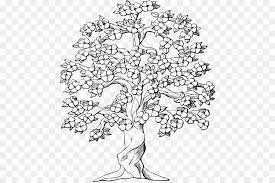 Download this free vector about black and white cherry blossoms, and discover more than 12 million professional graphic resources on freepik. Cherry Blossom Tree Drawing Png Download 510 597 Free Transparent Cherry Blossom Png Download Cleanpng Kisspng