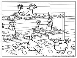Gambar anak ayam lucu s128apk biz. 99 Gambar Animasi Binatang Ayam Gratis Cikimm Com