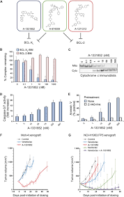 Image result for BCL2 Inhibitor
