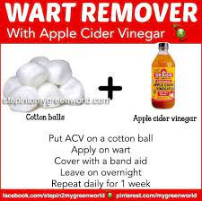 Wart Remover Wart Remover Apple Cider Vinegar For Skin Warts