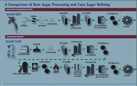 It is used in all types of foods due to its versatility. Comparison Of Beet Sugar Processing And Cane Sugar Refining Source Download Scientific Diagram