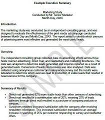 Summary Example Executive Summary Template Executive Summary Executive Summary Example