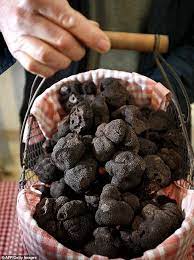 Prince Philip Grows Prized Black Truffles At Sandringham Truffles Black Truffle Indulgent Food