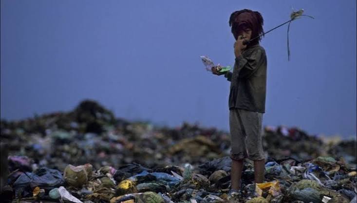 Ilha das Flores — imagen relacionada
