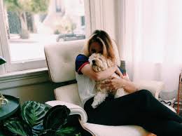 All about pets llc., scappoose, or. All About Pets Llc Scappoose Oregon