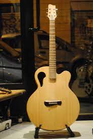 Pin On Acoustic Guitars Of The World