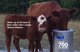 automatic horse waterers nelson mfg