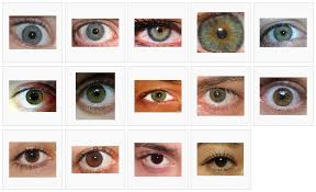 Green Eye Color Chart Eye Color Chart Different