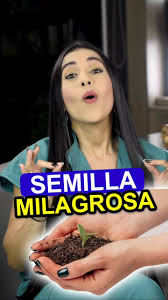 Linaza: la semilla milagrosa para tu salud