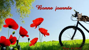 Rsultat de recherche d'images pour "images mardi citation"