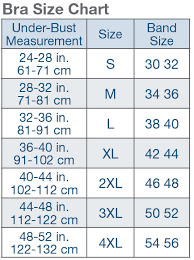 standard scale and international variances of bra sizes and