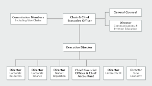 Organization And Governance Asc