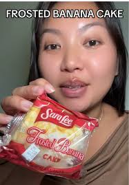 Copy Cat Sara Lee Chocolate Cake