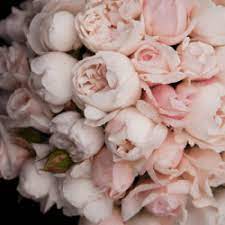 All your questions answered below or you can jump straight to the. Flowers By Helen Brown Pretty Peony Peony Substitutes